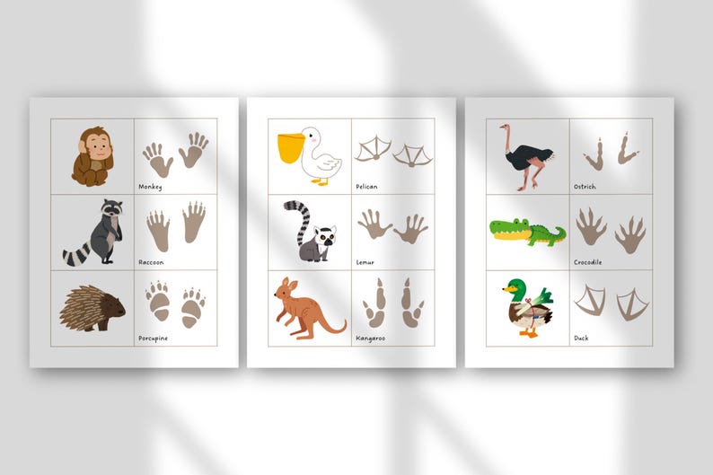 May include: Three educational posters with animal illustrations and their corresponding footprints. Animals include a monkey, raccoon, porcupine, pelican, lemur, kangaroo, ostrich, crocodile, and duck. Each animal is paired with its name.
