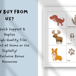 May include: A white card with illustrations of a Tyrannosaurus, moose, and dog, along with their footprints. The card also features the text "WHY BUY FROM US?" and lists benefits like quick support and high-quality files.