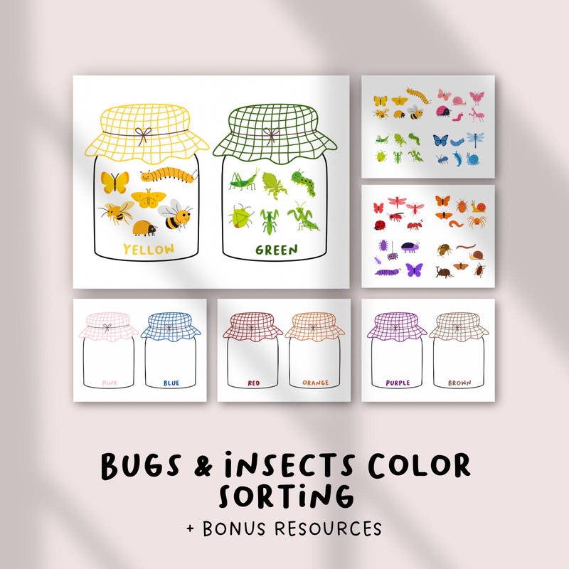 Bug Color Sorting Color Sorting - Etsy