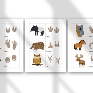 May include: Three illustrated animal charts featuring a donkey, beaver, zebra, tapir, echidna, owl, koala, horse, moose, and their respective footprints. Each animal is depicted in a cartoon style with a white background.
