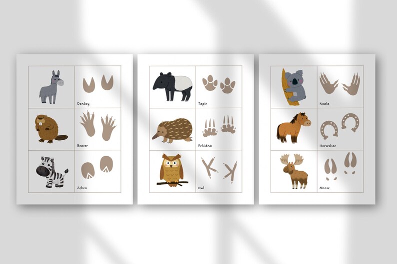 May include: Three illustrated animal charts featuring a donkey, beaver, zebra, tapir, echidna, owl, koala, horse, moose, and their respective footprints. Each animal is depicted in a cartoon style with a white background.