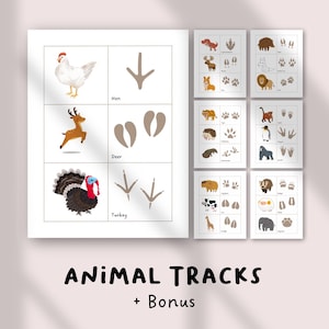 Tierspuren Arbeitsblätter | Natur lernen zum Ausdrucken für Kinder | Grundschule PDF Pack | Memory-Spiel