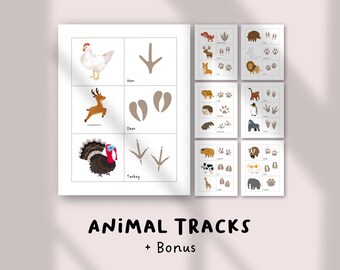 Animal Tracks Educational Worksheets | Nature Learning Printables for Kids | Homeschool PDF Pack | Matching Game