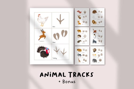 Animal Tracks Educational Worksheets | Nature Learning Printables for Kids | Homeschool PDF Pack | Matching Game