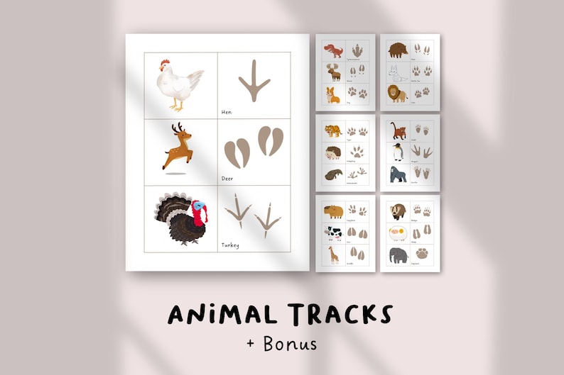 May include: Educational animal tracks print featuring illustrations of a hen, deer, and turkey, with their corresponding footprints. Additional prints showcase various animal tracks. The text "ANIMAL TRACKS + Bonus" is displayed at the bottom.
