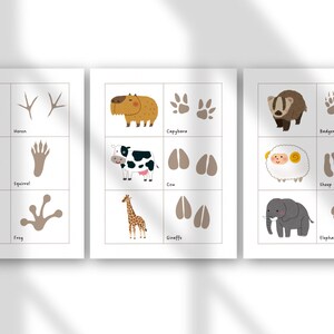 May include: Three white framed educational animal prints. Each print features a grid of animals and their corresponding footprints. Animals include a heron, squirrel, frog, capybara, cow, giraffe, badger, sheep, and elephant.