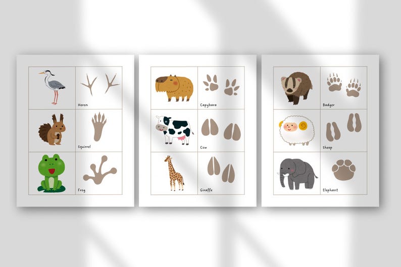 May include: Three white framed educational animal prints. Each print features a grid of animals and their corresponding footprints. Animals include a heron, squirrel, frog, capybara, cow, giraffe, badger, sheep, and elephant.