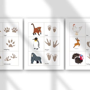 May include: Three educational animal print cards. Each card features a grid with an animal illustration and its corresponding footprint. Animals include a tiger, hedgehog, salamander, coati, penguin, gorilla, hen, deer, and turkey.