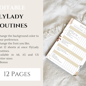 Tout en un Flylady : version esthétique 48 feuilles image 4