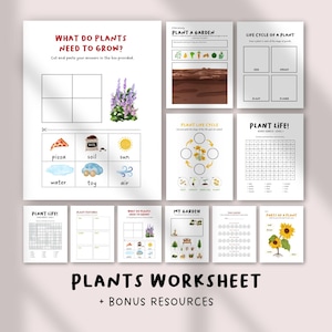 Puede incluir: Un conjunto de hojas de trabajo imprimibles con actividades sobre plantas. Las hojas de trabajo incluyen temas como el crecimiento de las plantas, los ciclos de vida y las partes de una planta. El título "PLANTS WORKSHEET + BONUS RESOURCES" se muestra en la parte inferior.