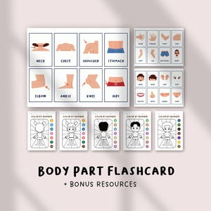 Tarjetas de partes del cuerpo para niños / Tarjetas imprimibles de anatomía humana / Actividad de aprendizaje preescolar / Juego educativo para niños pequeños / Recurso para la educación en casa
