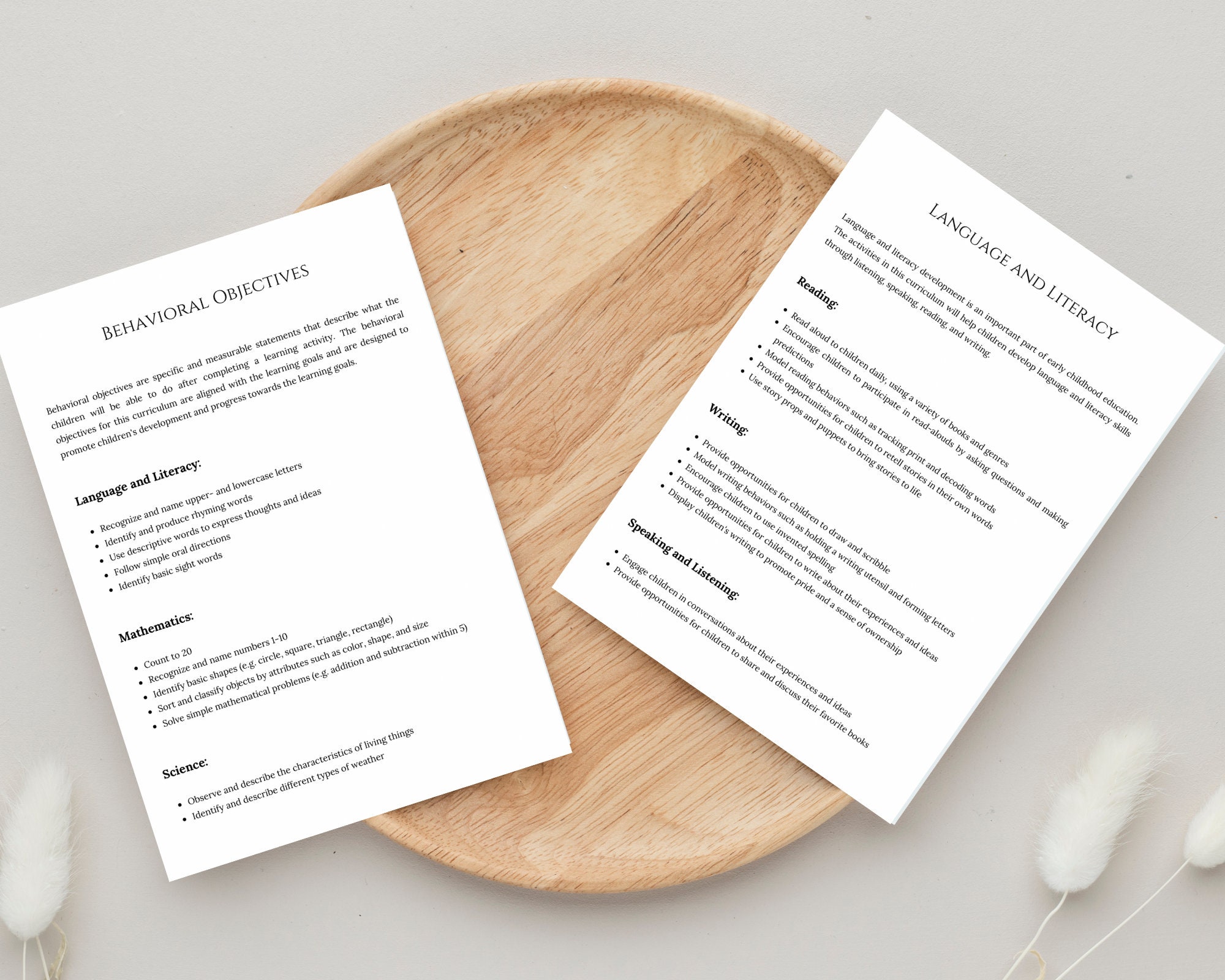 Editable Daycare Curriculum Planning Comprehensive Guide for Educators Editable Daycare Curriculum Planning Comprehensive Guide for Educators