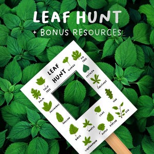 May include: A white card with the words "Leaf Hunt" and "Bonus Resources" printed on it. The card has a cutout in the center, revealing a green leaf. The card is surrounded by green leaves.
