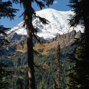 May include: A scenic mountain landscape framed by dark trees. A snow-capped mountain dominates the background, with a forest of green trees in the mid-ground. The sky is blue with a few clouds. The image includes the text "WRIGHT AROUND THE BEND".