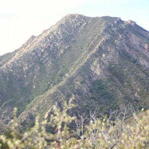 May include: A mountain landscape with a peak covered in rocks and vegetation. The mountain has a rugged texture with visible rock formations and is covered in green foliage. The foreground features blurred branches.