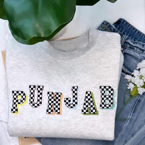 Sudadera con capucha bordada de Punjab con estampado de cuadros y letras pastel, ideal como regalo unisex de gran tamaño, estilo cultural y estético.