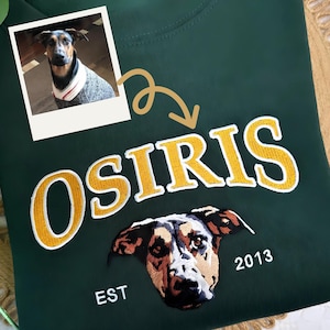 May include: Green sweatshirt with a gold embroidered logo that says "OSIRIS EST 2013". A brown and white dog's head is embroidered below the logo.