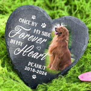 May include: Heart-shaped pet memorial stone featuring a golden retriever photo. The dark grey stone has white text: "Once by my side, forever in my heart." The dog's name, "Peanut," and dates 2016-2024 are also inscribed on the stone.