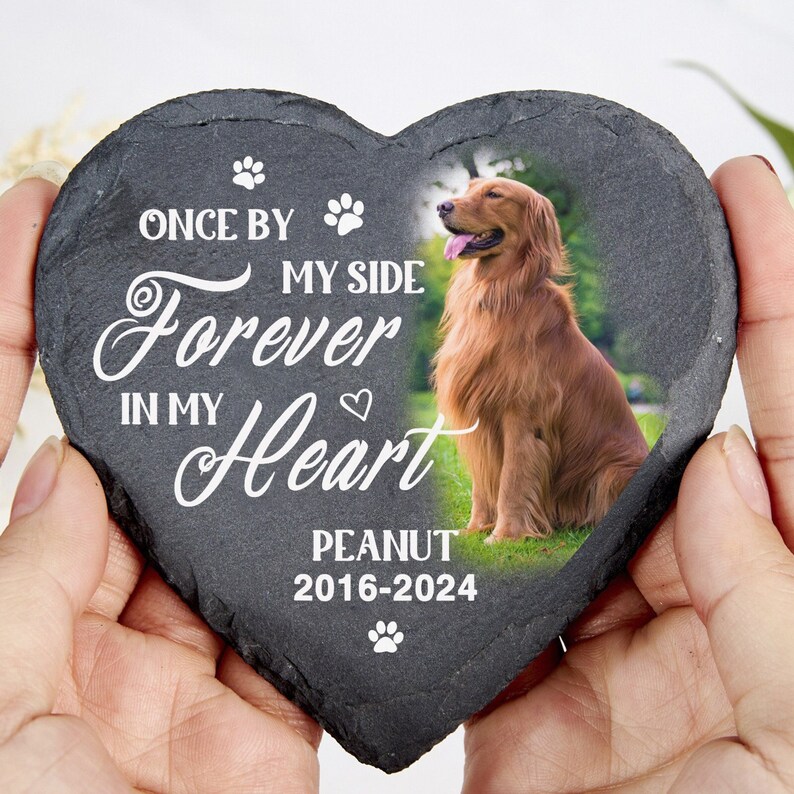 May include: Heart-shaped slate memorial stone featuring a golden retriever photo. The text reads "Once by my side, forever in my heart" and the name "Peanut" with the years 2016-2024.