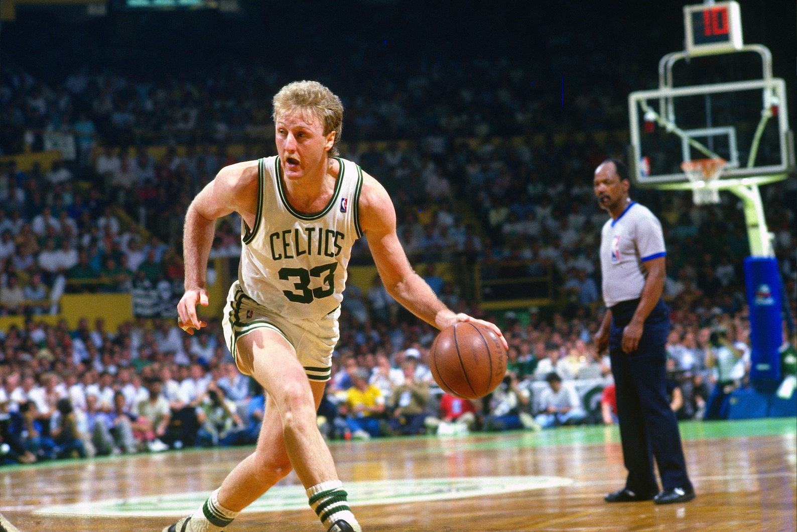 Larry Bird Dribbling Celtics Poster 24x36 Inches Etsy
