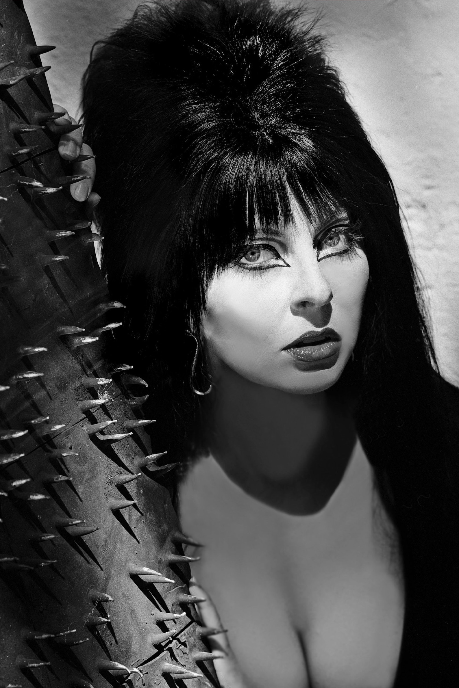 Elvira Mistress of the Dark Spikes Poster 24x36 inches Etsy