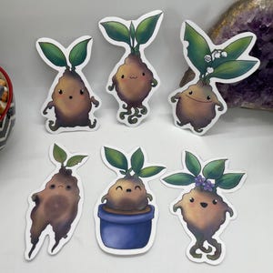 Magical mangrove root babies sticker pack -6pc