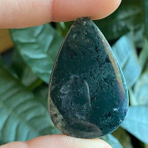 Teardrop Tree Agate Cabochon: Wire Wrapping Stone (1.6” x 1”) | TS2