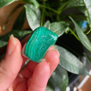 Malachite Tumbled Stone: 1.4 oz Crystal