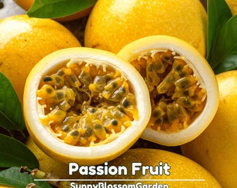Yellow Passion Fruit Seeds: Organic Tropical Heirloom (13 Seeds)