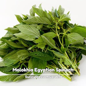 May include: A white ceramic mug with a black handle and the text "But First, Coffee" in a bold, black font. The mug is set against a blurred background, suggesting a cozy setting.