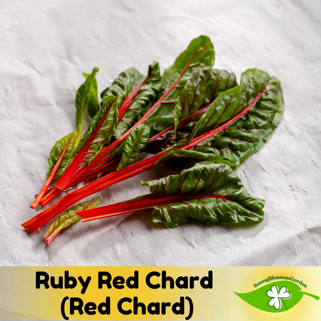 15+ Seeds| Ruby Red Chard (red Chard) - Edible - Cold Resistant - Fast ...