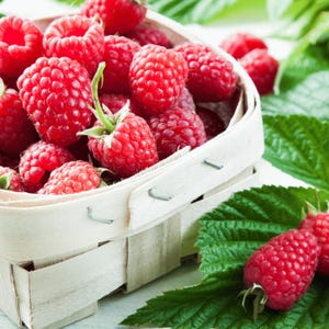 May include: A wooden basket filled with bright red raspberries. The raspberries are in focus, showing their textured surface and green stems. Green leaves surround the basket, creating a natural, fresh look. The image highlights the freshness of the berries.