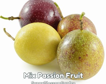 Mix Passion Fruit Seeds – Purple and Yellow Varieties – Sweet Tropical Vine – Fast Growing Garden Fruit