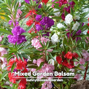 May include: A rustic wooden sign with the text "Welcome to our home" in white lettering. The sign features a distressed finish and a simple, inviting design, perfect for entryway decor.