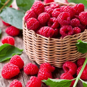 May include: A woven basket overflowing with bright red raspberries, some scattered on a rustic wooden surface. Green leaves are interspersed, adding a natural touch to the scene. The raspberries are ripe and juicy, perfect for a summer treat.