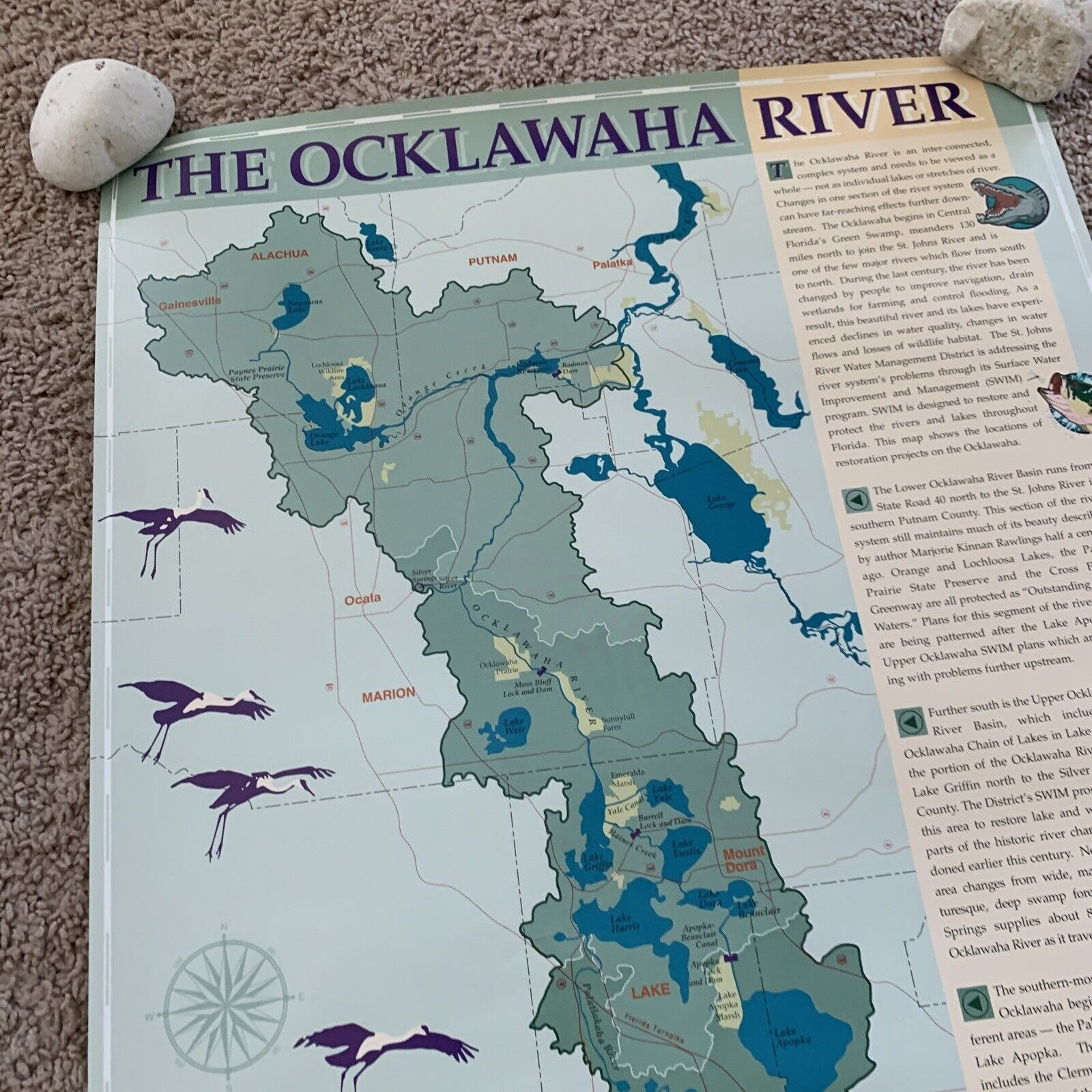 The Ocklawaha River Lakes Florida Map 16x21 Art Wall Poster - Etsy