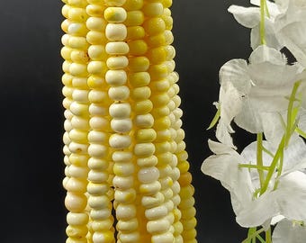 May include: A strand of yellow and white glass beads. The beads are round and have a smooth, polished finish.