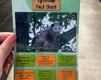 Datenblatt eines magnetischen Opossums