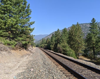 Train Tracks in Alberton