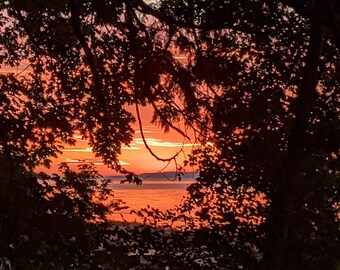 Evening in Birch Bay State Park