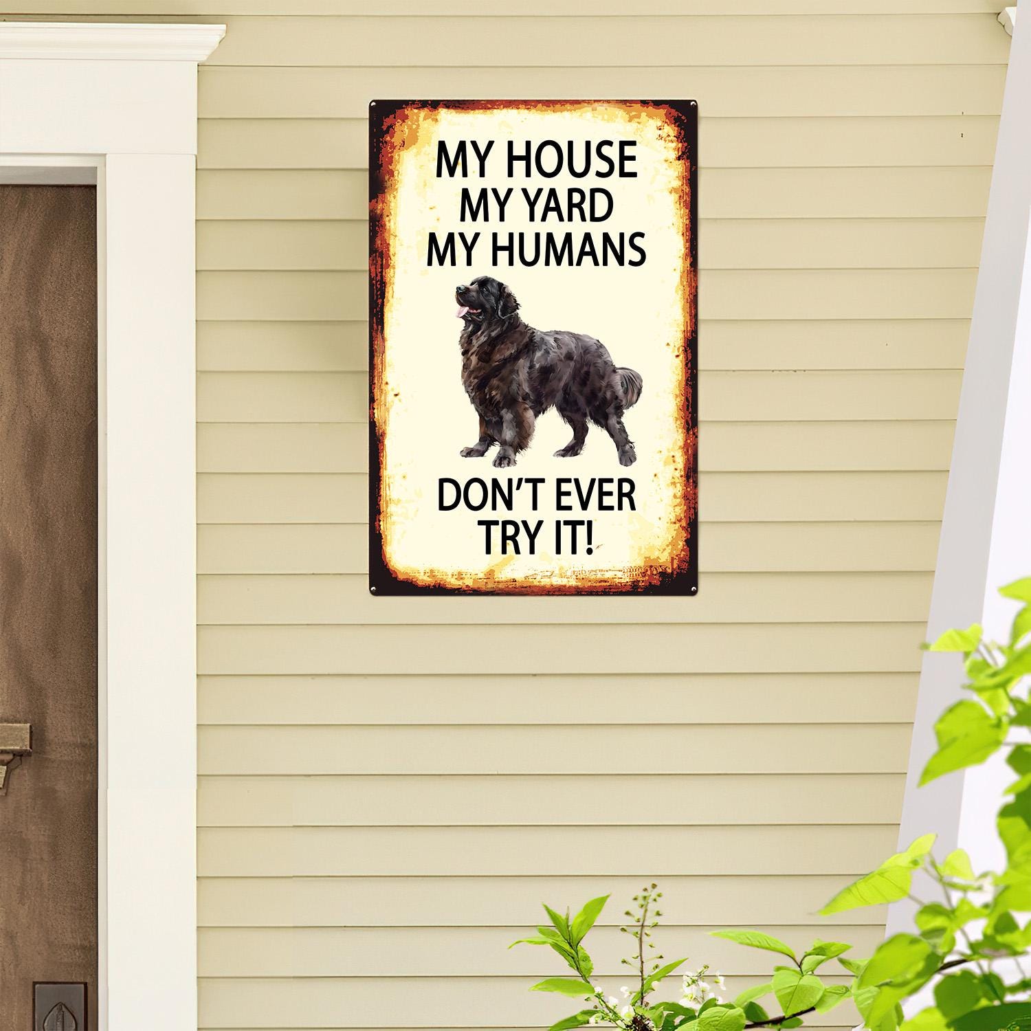 Doberman My House My Yard My Humans Vintage Metal Sign Pet Dog In This House Tin Sign 12 X 8 Inch