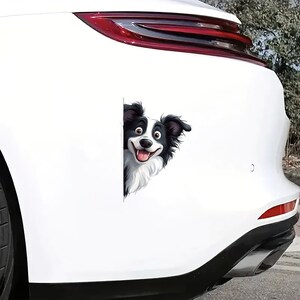 Peut inclure: Une voiture blanche avec un chien de dessin animé noir et blanc qui sort de derrière le pare-chocs arrière. Le chien a une expression joyeuse et regarde directement la caméra.