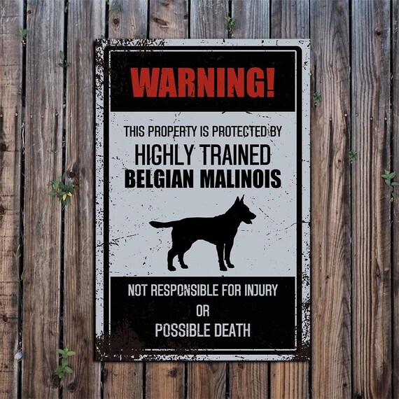 Cartello In Metallo "Attenzione! Belgian Malinois In Servizio" – 30x40 Cm – Umoristico Per Esterno