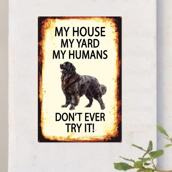 Targa In Latta Vintage 'My House My Yard My Humans' Con Bassotto – 20x30 Cm, Decorazione Murale Retrò