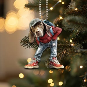 May include: A brown and white dog wearing a red sweater, blue jeans, and a red and white baseball cap. The dog is wearing a backpack and has a silver chain hanging from its neck.
