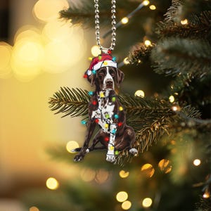 Puede incluir: Un perro Braco Alemán de Pelo Corto marrón y blanco con un gorro de Papá Noel rojo y rodeado de luces de Navidad de colores. El perro está colgado de una cadena plateada.