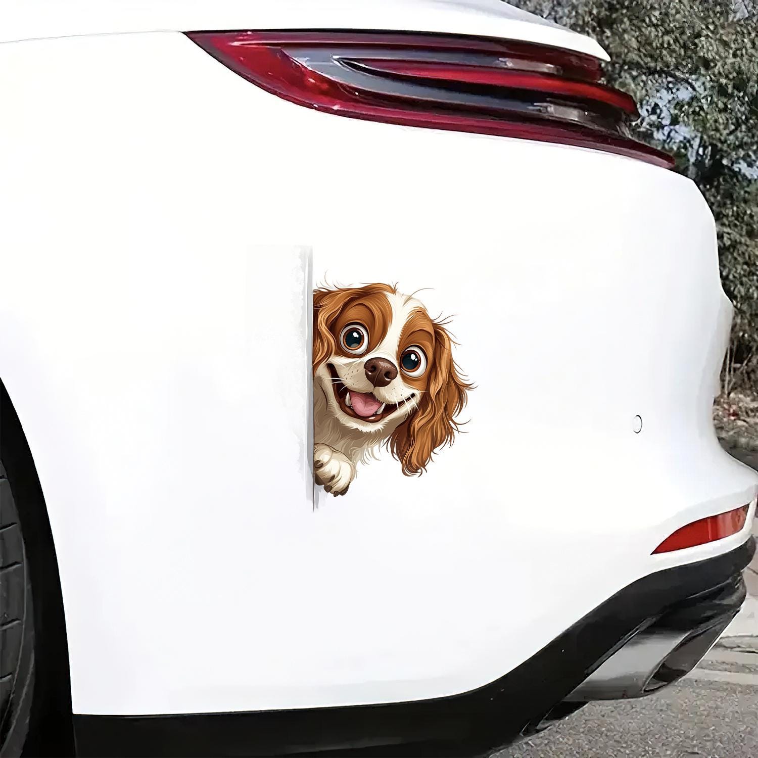 キャバリア・キング・チャールズ・スパニエル犬用カーステッカー、犬 