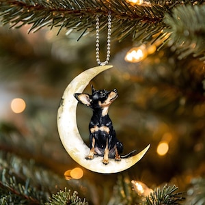 Può includere: Un ornamento a forma di chihuahua nero e marrone seduto su una luna crescente. L'ornamento è appeso a una catena argentata su un albero di Natale.
