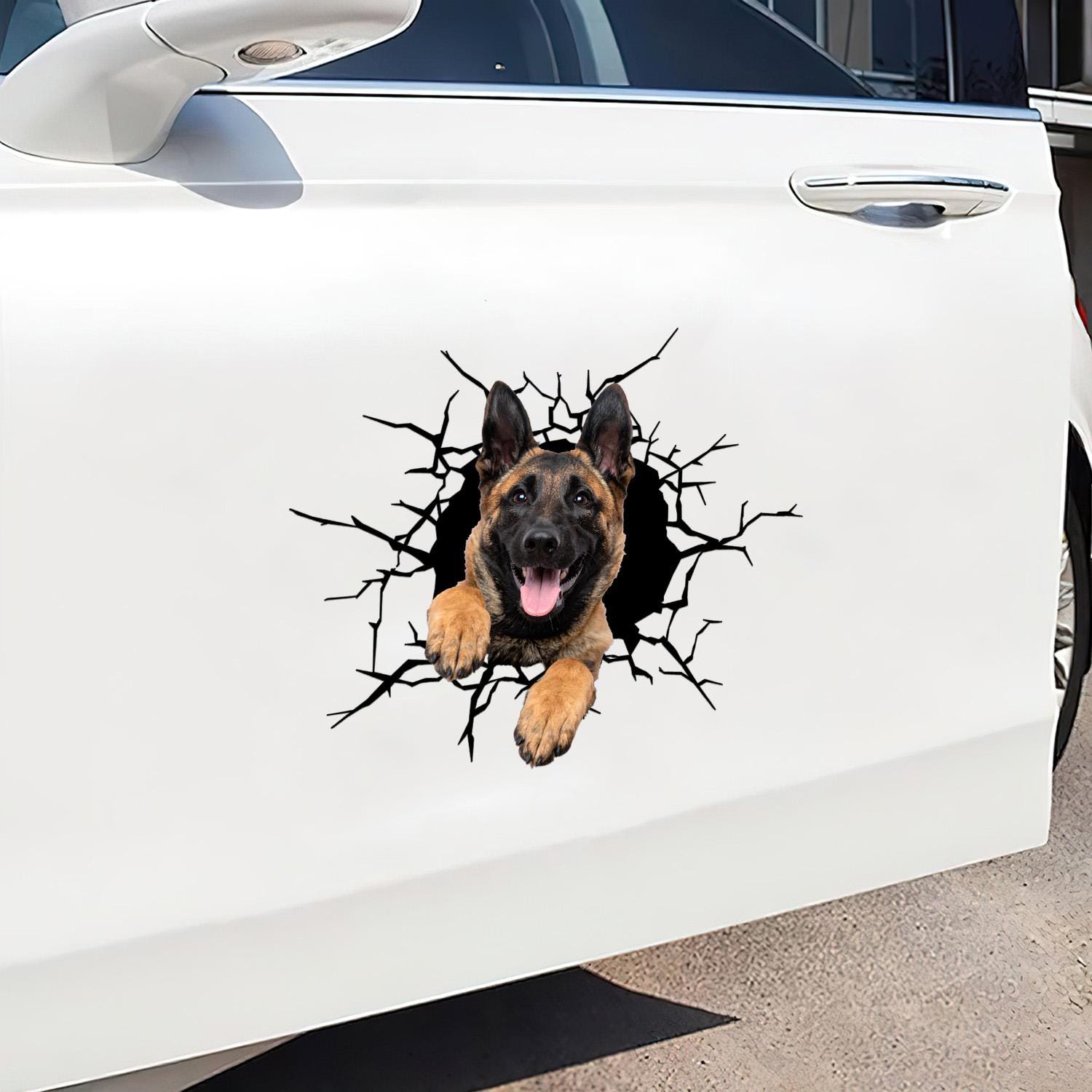 Pegatina Para El Coche De Malinois Belga 18 Cm (7,1 Pulgadas) 3D Rasgada Pegatinas Reflectantes