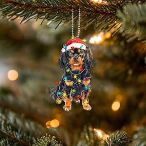 Peut inclure: Une décoration de Noël représentant un Cavalier King Charles Spaniel noir et fauve portant un bonnet de Père Noël et enroulé dans des lumières de Noël colorées.